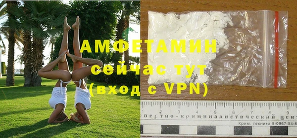 СК Медвежьегорск