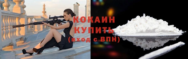 СК Медвежьегорск