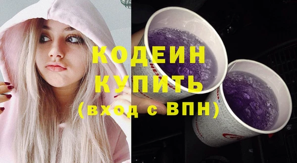 СК Медвежьегорск