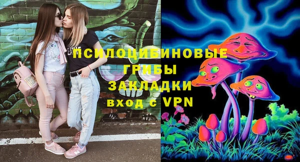 СК Медвежьегорск